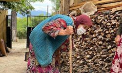 Dünyayı saran koronavirüs, Gökpınar köyüne giremedi