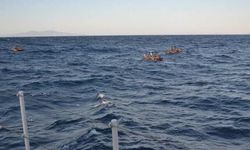 Ege suları düzensiz göçmenlere mezar olmaya devam ediyor