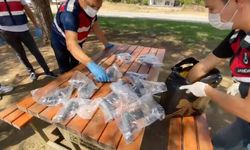 Kadınların alışveriş poşetinden 20 tabanca çıktı