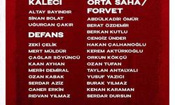 A Milli Takım'da revizyon
