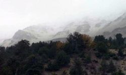 Antalya'nın yüksek kesimleri beyaza büründü