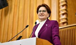 Akşener'den Erdoğan'a THY mesajı: Hatadan dönmek iyidir