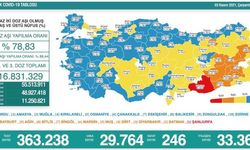Son 24 saatte 246 can kaybı, 29 bin 764 vaka