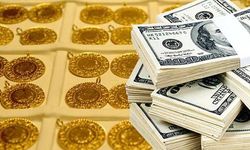 TÜİK: En çok dolar kazandırdı