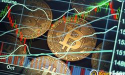 Kripto paralarda son durum: Shiba Coin ve Dogecoin'de artış