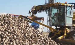 Ticaret Bakanlığı'ndan şeker fabrikalarına inceleme