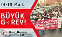 TTB: Hekimler 14 - 15 Mart'ta G(ö)revde