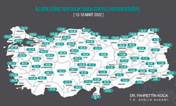 100 bin kişide vaka sayısı İstanbul'da 239,48, Ankara'da 395,38, İzmir'de 247,16