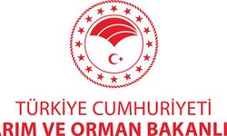 Bakanlık uyardı: Bu ürünlere dikkat