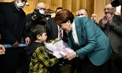 Akşener: Türkiye Cumhuriyeti tarihi, böyle bir cıvıklık görmedi