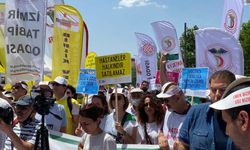Sağlık çalışanları 'Beyaz Miting'de buluştu