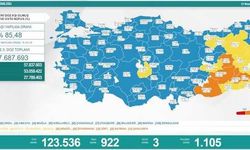 İkinci gün de vaka sayısı binin altında