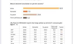 Cumhur İttifakı'nı destekleyenlerin yarısı ekonomik sorunların nedeninin 'dış güçler' olduğuna inanıyor