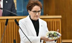 Akşener: 20 yılın sonunda Avrupa'ya gidecekken gider ayak Orta Doğu'yu memleketimize getirdiler