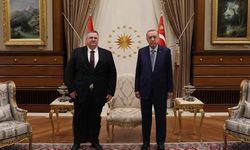 Erdoğan, Rusya Başbakan Yardımcısı Overçuk'u kabul etti