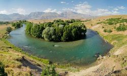 Tunceli'de 31 Ekim'e kadar ormanlara giriş yasağı getirildi