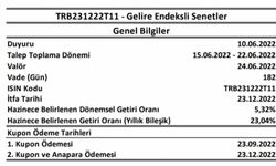 Gelire endeksli senedin detayları belli oldu