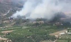 Muğla Dalaman'da orman yangını çıktı