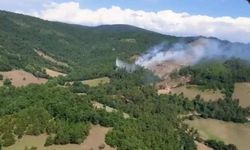 Çanakkale'de orman yangını çıktı