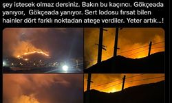 Gökçeada'da yangın çıktı Belediye Başkanı isyan etti
