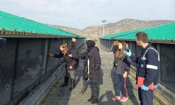 Kütahya'da Sokak Hayvanları Bakımevi'ne ziyaret