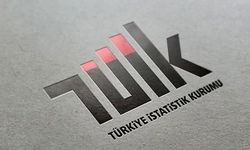 TÜİK iç göç istatistiklerini kamuoyuyla paylaşacak