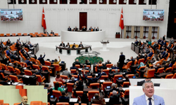 Bütçe görüşmelerinde yumruklu kavga