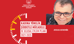 Şiddetsiz bir yıl / Ayhan Aydemir yazdı