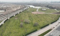 ABB Ata mirasına sahip çıkıyor