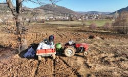 Gürsu'nun verimli ovasında 20 tonluk rekolte bekleniyor