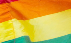 Nilüfer'de LGBTİ incelemesi