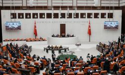 Bakanlığa ek borçlanma yetkisi verildi, TEDAŞ'a olan geçmiş dönem borçlar yapılandırıldı