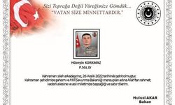 MSB: Taciz ateşi sonucu bir asker şehit oldu