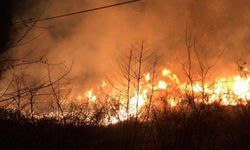 Alanya'da 4 ayrı noktada orman yangını çıktı