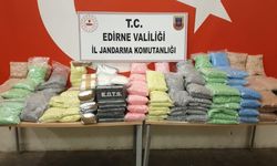 Zehir yüklü TIR sınırda durduruldu