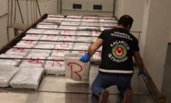Gümrük'teki tırda 603,5 kilogram skunk ele geçirildi