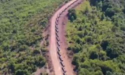Bakandan Karadeniz gazı açıklaması: Muhtemelen nisana kalır