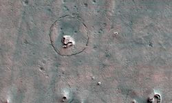 "Mars'ta ayı mı var?"