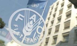 FAO: Kırsal kesim için 25 milyon dolara ihtiyaç var
