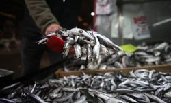 Denizlerde av yasağı başladı