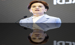 Akşener ve hayaleti / Türker Karapınar yazdı