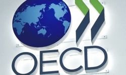 Eğilmez: OECD'nin önerileri yapısal reform değil, faturayı emekçinin sırtına yükleme çabası