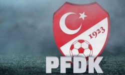 PFDK'dan İstanbulspor ile Fenerbahçe'den Fred ve Mert Hakan'a ceza