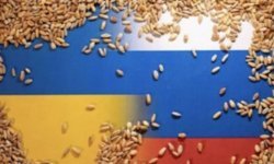 Ukrayna'dan İsrail'e çalıntı tahıl tepkisi