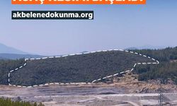 Akbelen için uluslararası tepki
