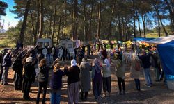 Danıştay'dan Akbelen kararı... İkizköy sakinleri: Şirket gidecek, biz kalacağız