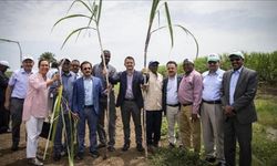 14 milyon lirayı aşan sermaye aktarılan tarım projesi tek tohum atılmadan feshedildi