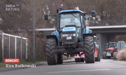 Traktörler yolları kapattı; Tüm Avrupalı ​​çiftçiler için eşit şartlar istiyoruz