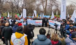 "Özel Sektör Öğretmenleri" taban maaş hakkı için Başkent'te toplandı