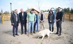 Kayseri'de köpek eğitim parkı Millet Bahçesi'nde hizmete hazır